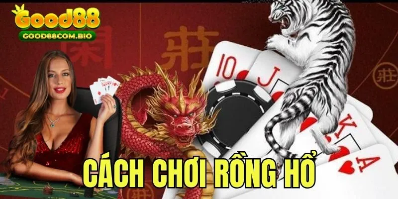 Cách chơi rồng hổ