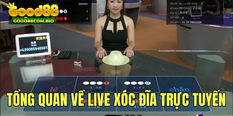 Tổng quan về phiên bản game live Xóc Đĩa trực tuyến